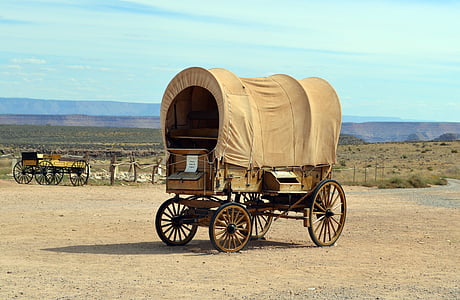 brown carriage under white cloud blue skies thumbnail