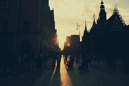 People Walking Near Building during Golden Hour thumbnail