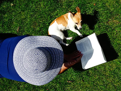 person, love, woman, summer thumbnail