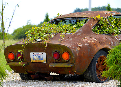 green leaved plants on rusted car under sunny sky thumbnail