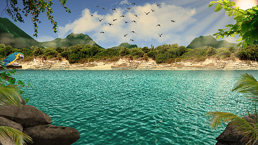 flock of birds flying upwards above blue sea thumbnail