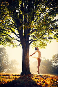 person jumping beside tree thumbnail