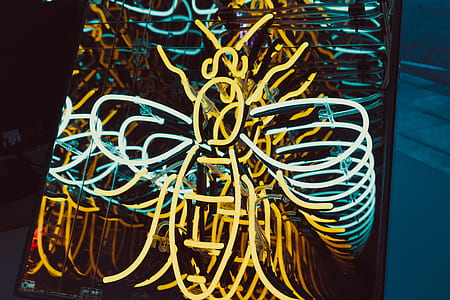 turned on yellow and blue bee design LED lights at nighttime thumbnail