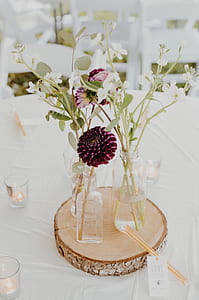 red purple flowers in clear glass vase indoors thumbnail