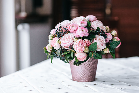 Pink roses in pot thumbnail