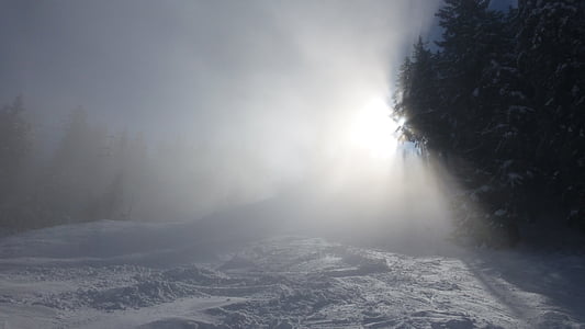 snow-covered forest thumbnail
