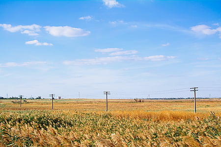 brown field under blue sky thumbnail