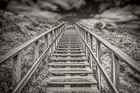 grayscale photography of stairway on hill thumbnail