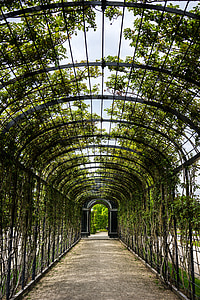 black metal tunnel under green leafed trees thumbnail