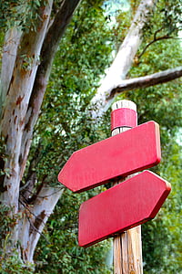 red road sign under tree at daytime thumbnail