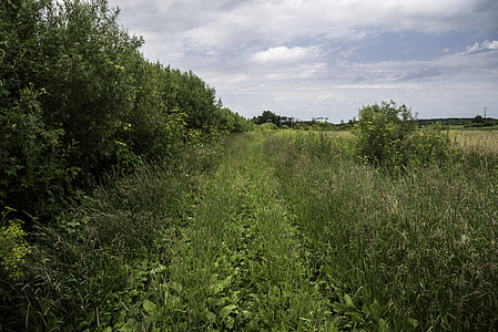 Grassy Path hiking at Goose Lake Wildlife Area thumbnail