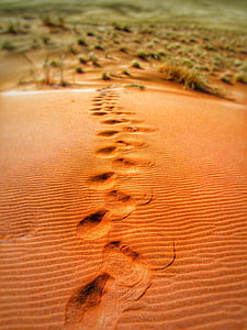 Foot Prints on Desert during Daytime thumbnail