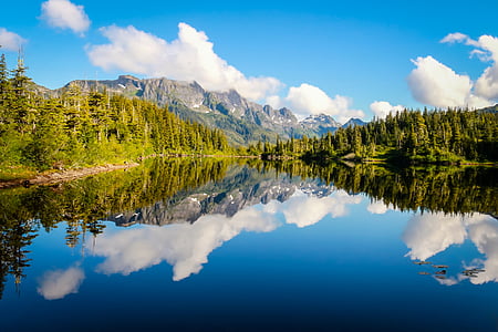 reflective photography of river and trees thumbnail