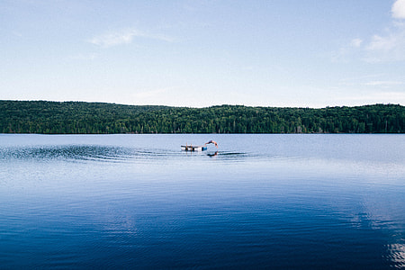 person diving on lake near green trees during daytime thumbnail