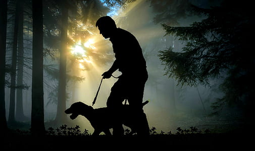 silhouette of a man holding a leash of dog in the woods with during golden hour thumbnail