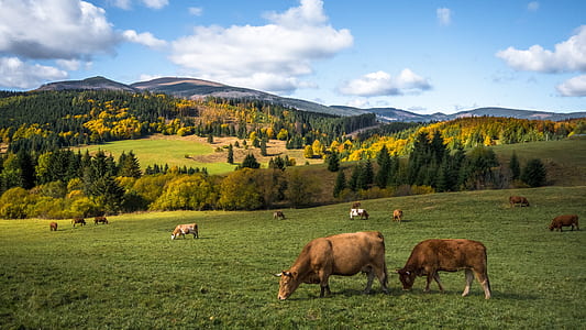 mountain range photograph thumbnail