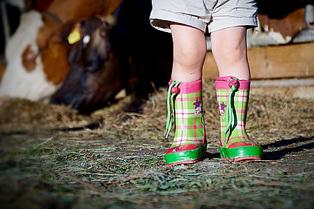 person wearing boots near horse thumbnail