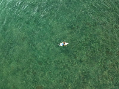 person riding on surfboard on body of water at daytime thumbnail