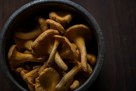 brown mushrooms thumbnail