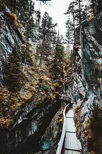 brown wooden dock beside cliff at daytme thumbnail