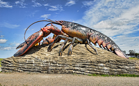 lobster under clear day sky thumbnail