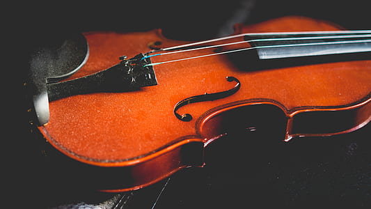 brown violin thumbnail