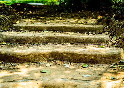 close up photography of stair with dried leaves thumbnail