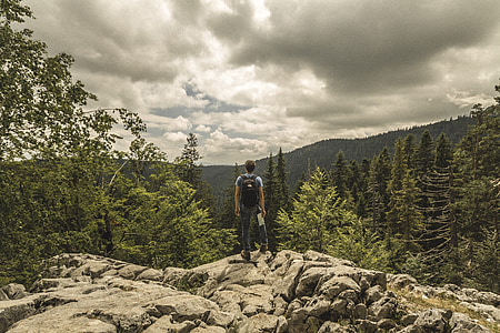 man on the forest thumbnail