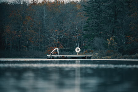 grey body of water near grey stainless steel pool ladder thumbnail