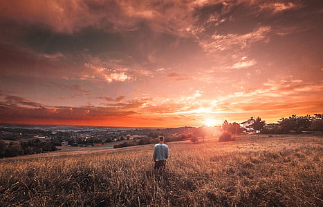 man standing on grass field during golden hour thumbnail