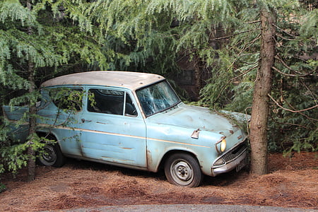 vintage blue vehicle between two trees thumbnail