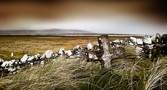 brown concrete fence with grass thumbnail