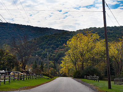 road between fences and trees towards mountain at daytime thumbnail