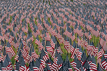 U.S.A. flag lot thumbnail