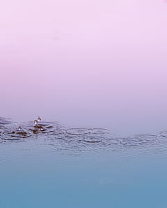 photography of body of water thumbnail