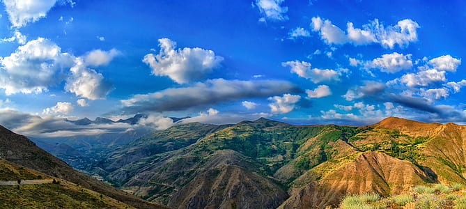 landscape photo of mountain with trees thumbnail