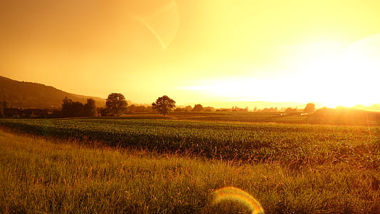 dawn, nature, sky, sunset thumbnail