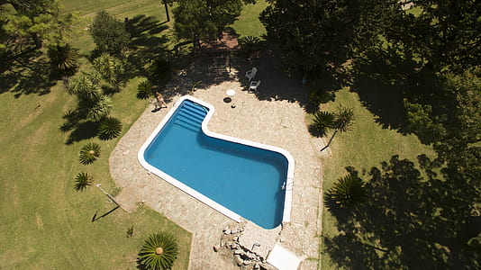 pool surrounded by trees during daytime thumbnail