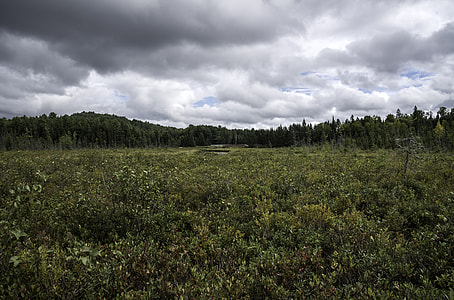 Cloudy Skies over the Bog at Algonquin Provincial Park, Ontario thumbnail