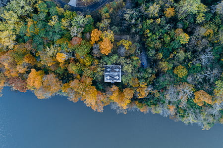 aerial photo of gray roof and trees thumbnail