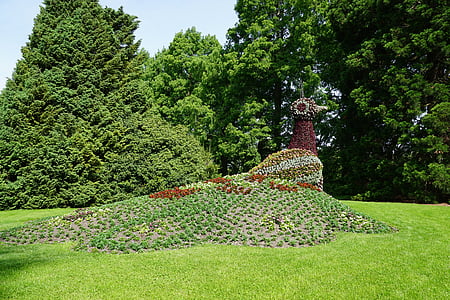 landscape photography of green grass thumbnail