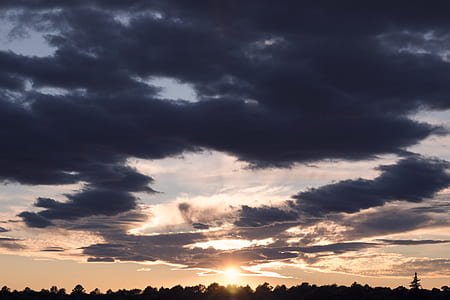 silhouette on trees during sunrise thumbnail