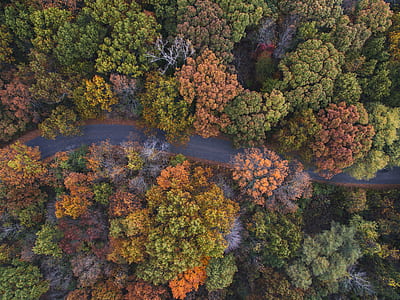 top view photography thumbnail