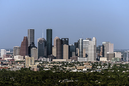 city buildings near trees thumbnail