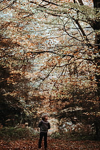 boy standing in woods near tree during daytime thumbnail