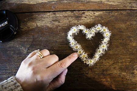 White Flower Forming Heart thumbnail