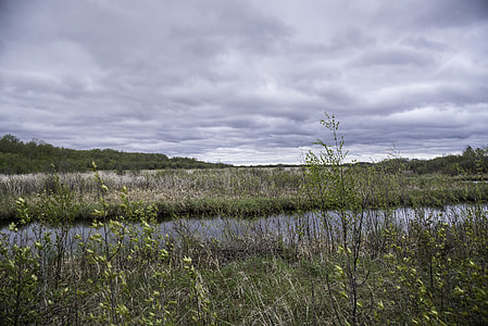 Channel and landscape at Zippel bay State Park, Minnesota thumbnail