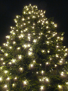 green leafed tree with white string lights thumbnail