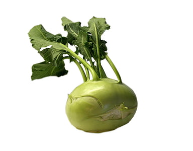 round green fruit thumbnail