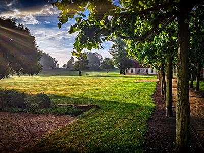 house near trees during sunrise thumbnail